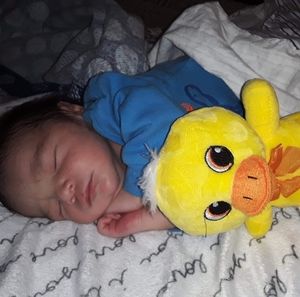 Meet your Posher, Roberta